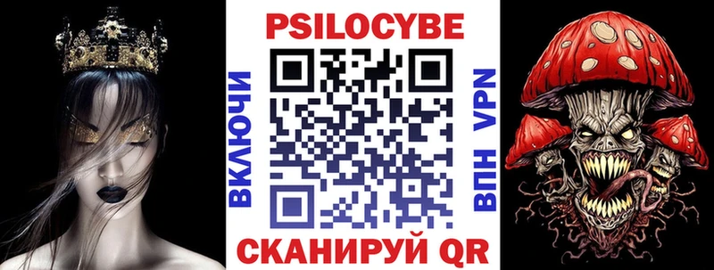 Псилоцибиновые грибы Psilocybe  Карачаевск 