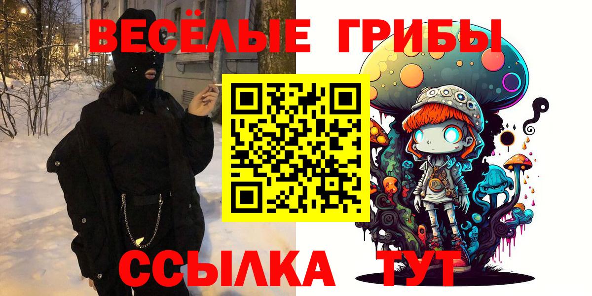 Карачаевск  Вход с VPN  ГАШ  МДМА  Меф  Меф МЯУ МЯУ   Канабис  Cocaine  A PVP СК  