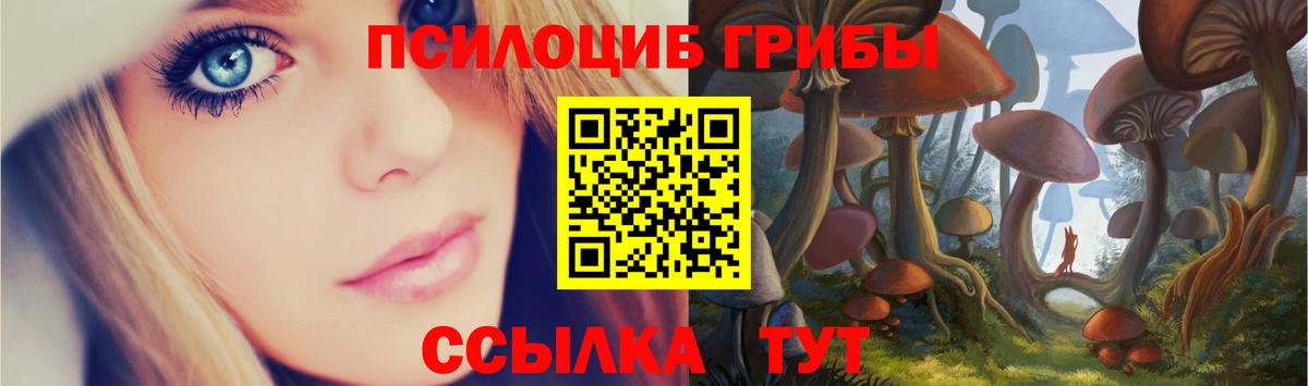 Галлюциногенные грибы прущие грибы  Псилоцибиновые грибы GOLDEN TEACHER  Карачаевск  Вход с VPN 